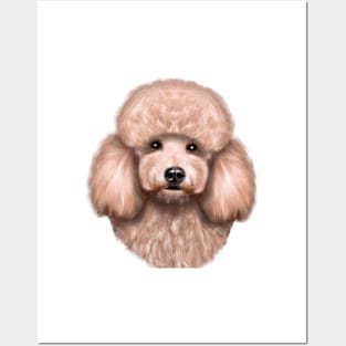 Cute Poodle Drawing Posters and Art